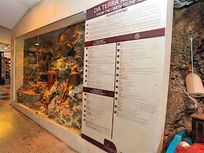 Cachalote Museum